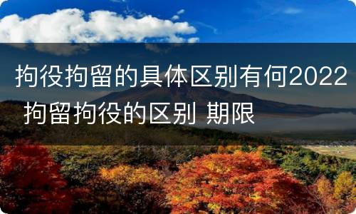 拘役拘留的具体区别有何2022 拘留拘役的区别 期限