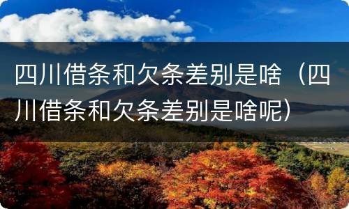 四川借条和欠条差别是啥（四川借条和欠条差别是啥呢）