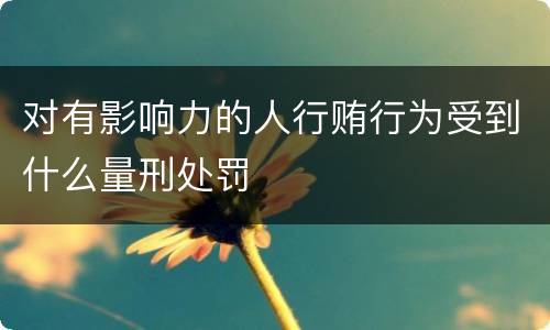 对有影响力的人行贿行为受到什么量刑处罚