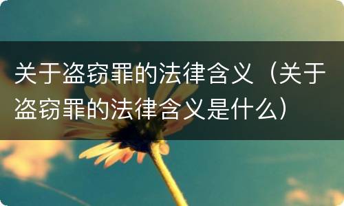 关于盗窃罪的法律含义（关于盗窃罪的法律含义是什么）