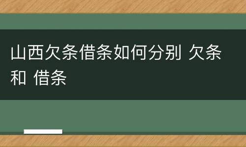 山西欠条借条如何分别 欠条 和 借条