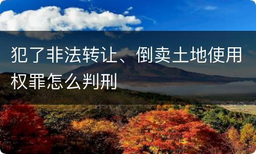 犯了非法转让、倒卖土地使用权罪怎么判刑