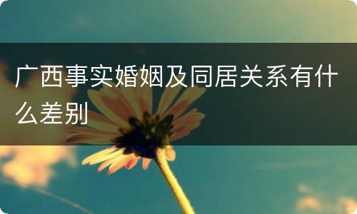 广西事实婚姻及同居关系有什么差别