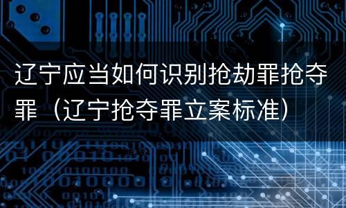 辽宁应当如何识别抢劫罪抢夺罪（辽宁抢夺罪立案标准）