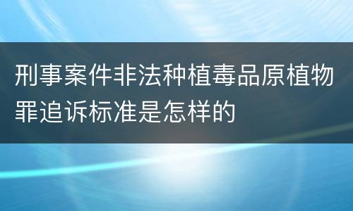 刑事案件非法种植毒品原植物罪追诉标准是怎样的