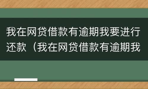 我在网贷借款有逾期我要进行还款（我在网贷借款有逾期我要进行还款怎么办）