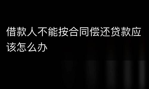 借款人不能按合同偿还贷款应该怎么办
