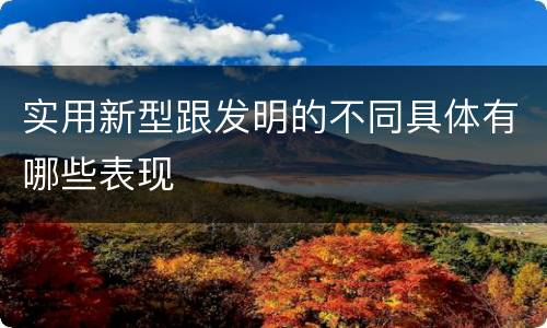 实用新型跟发明的不同具体有哪些表现