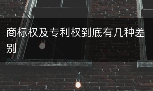 商标权及专利权到底有几种差别