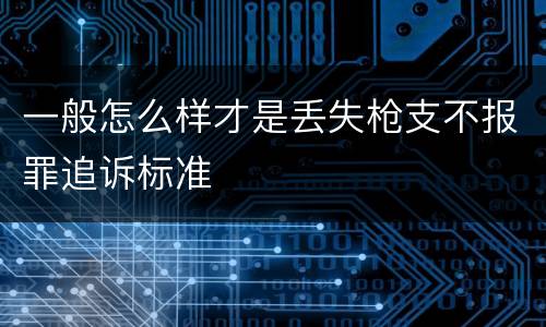 一般怎么样才是丢失枪支不报罪追诉标准