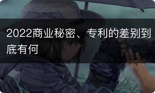 2022商业秘密、专利的差别到底有何