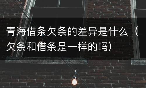 青海借条欠条的差异是什么（欠条和借条是一样的吗）