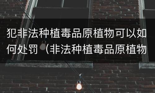 犯非法种植毒品原植物可以如何处罚（非法种植毒品原植物罪情节严重）