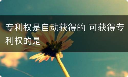 专利权是自动获得的 可获得专利权的是