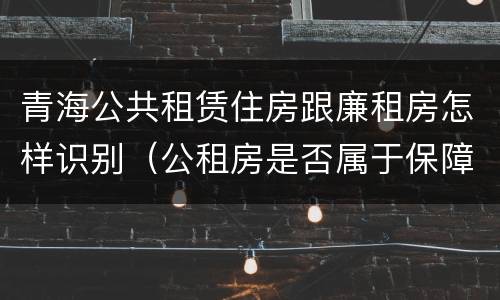 青海公共租赁住房跟廉租房怎样识别（公租房是否属于保障性住房）