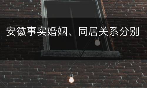 安徽事实婚姻、同居关系分别