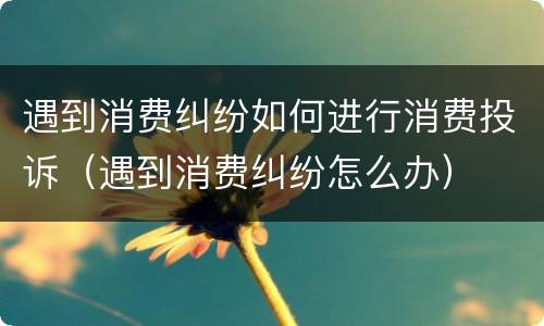 遇到消费纠纷如何进行消费投诉（遇到消费纠纷怎么办）
