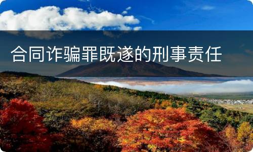 合同诈骗罪既遂的刑事责任