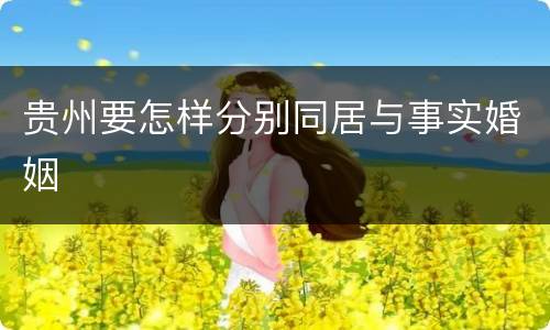 贵州要怎样分别同居与事实婚姻