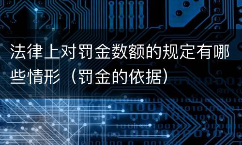 法律上对罚金数额的规定有哪些情形（罚金的依据）