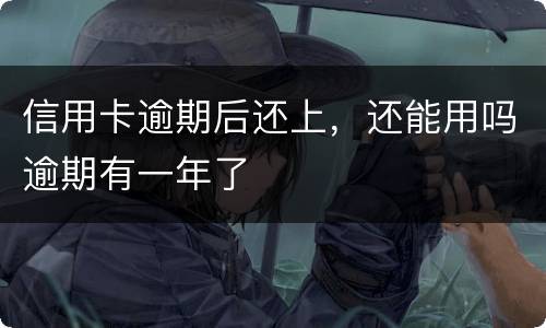 信用卡逾期后还上，还能用吗逾期有一年了