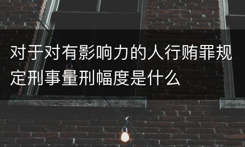 对于对有影响力的人行贿罪规定刑事量刑幅度是什么