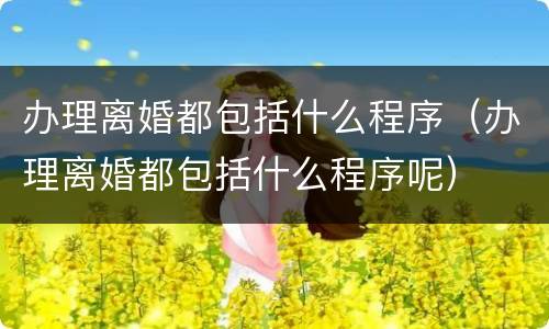 办理离婚都包括什么程序（办理离婚都包括什么程序呢）
