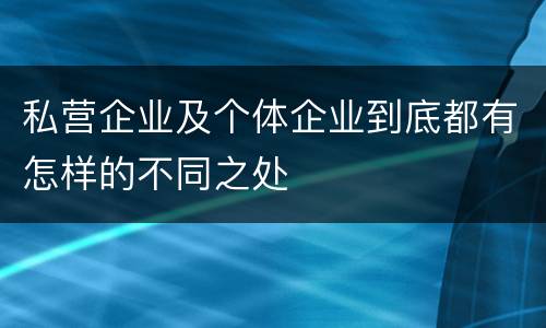 私营企业及个体企业到底都有怎样的不同之处