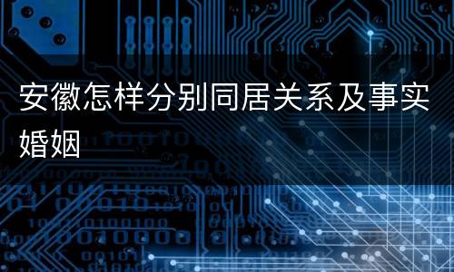 安徽怎样分别同居关系及事实婚姻