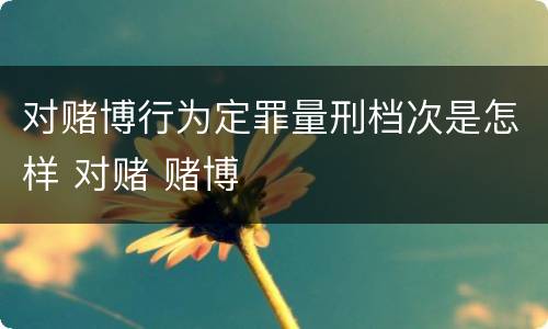 对赌博行为定罪量刑档次是怎样 对赌 赌博