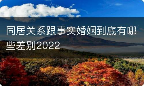 同居关系跟事实婚姻到底有哪些差别2022