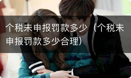 个税未申报罚款多少（个税未申报罚款多少合理）