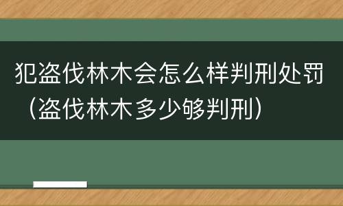 犯盗伐林木会怎么样判刑处罚（盗伐林木多少够判刑）