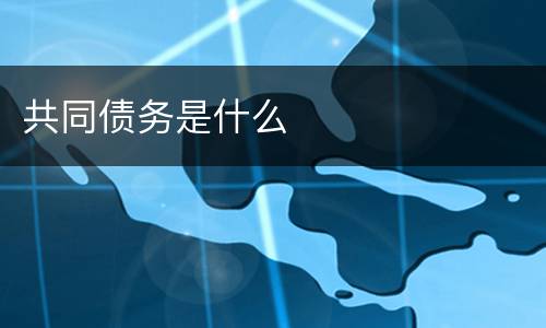 共同债务是什么