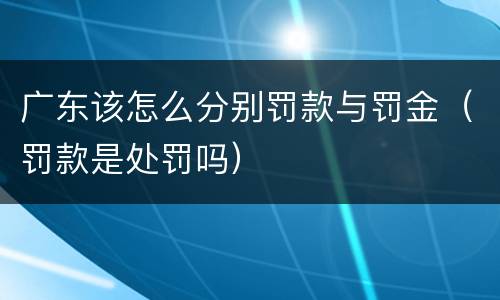 广东该怎么分别罚款与罚金（罚款是处罚吗）