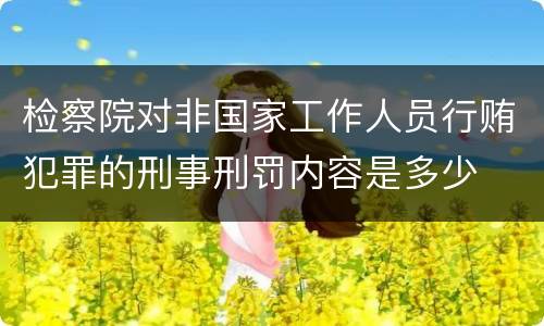 检察院对非国家工作人员行贿犯罪的刑事刑罚内容是多少
