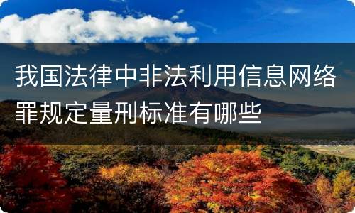 我国法律中非法利用信息网络罪规定量刑标准有哪些