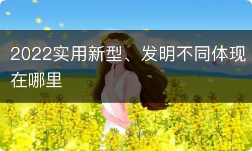 2022实用新型、发明不同体现在哪里