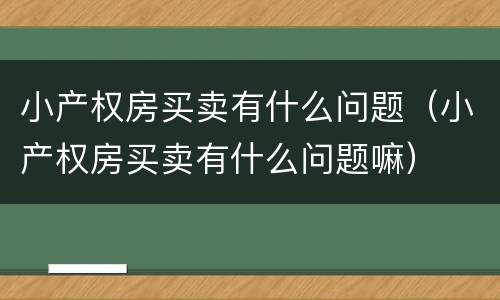 小产权房买卖有什么问题（小产权房买卖有什么问题嘛）