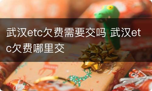 武汉etc欠费需要交吗 武汉etc欠费哪里交