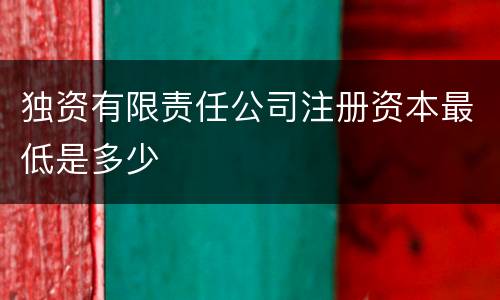 独资有限责任公司注册资本最低是多少