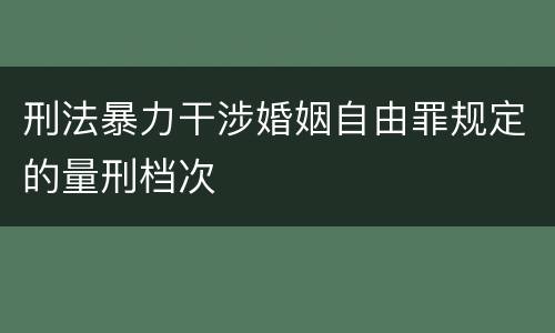 刑法暴力干涉婚姻自由罪规定的量刑档次