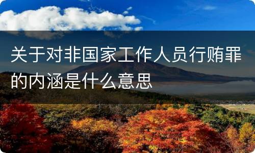 关于对非国家工作人员行贿罪的内涵是什么意思