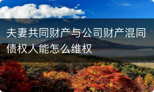 夫妻共同财产与公司财产混同债权人能怎么维权