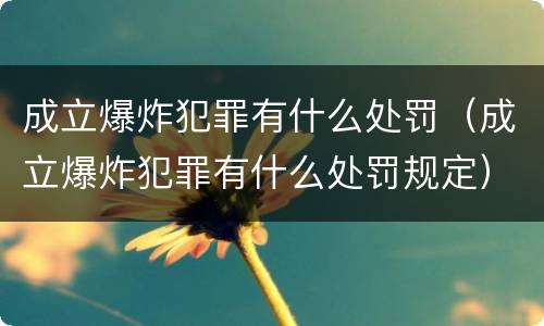 成立爆炸犯罪有什么处罚（成立爆炸犯罪有什么处罚规定）