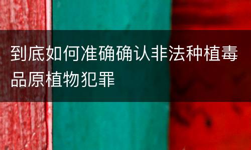 到底如何准确确认非法种植毒品原植物犯罪