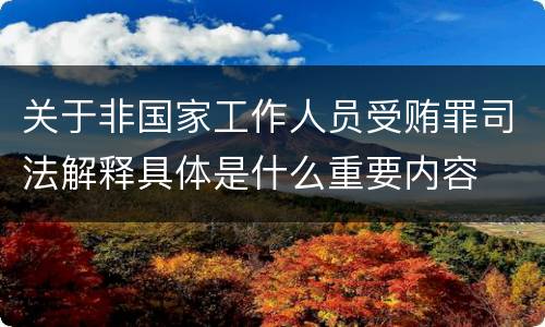 关于非国家工作人员受贿罪司法解释具体是什么重要内容
