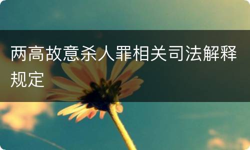 两高故意杀人罪相关司法解释规定