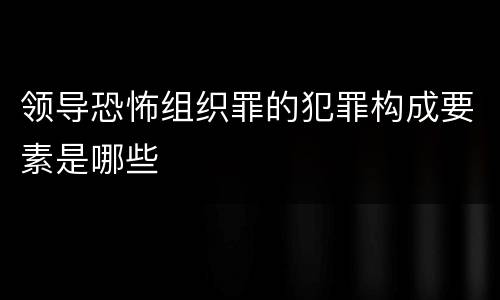 领导恐怖组织罪的犯罪构成要素是哪些