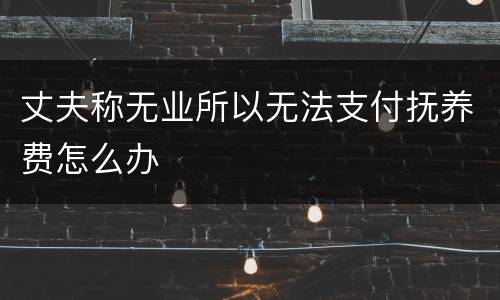 丈夫称无业所以无法支付抚养费怎么办